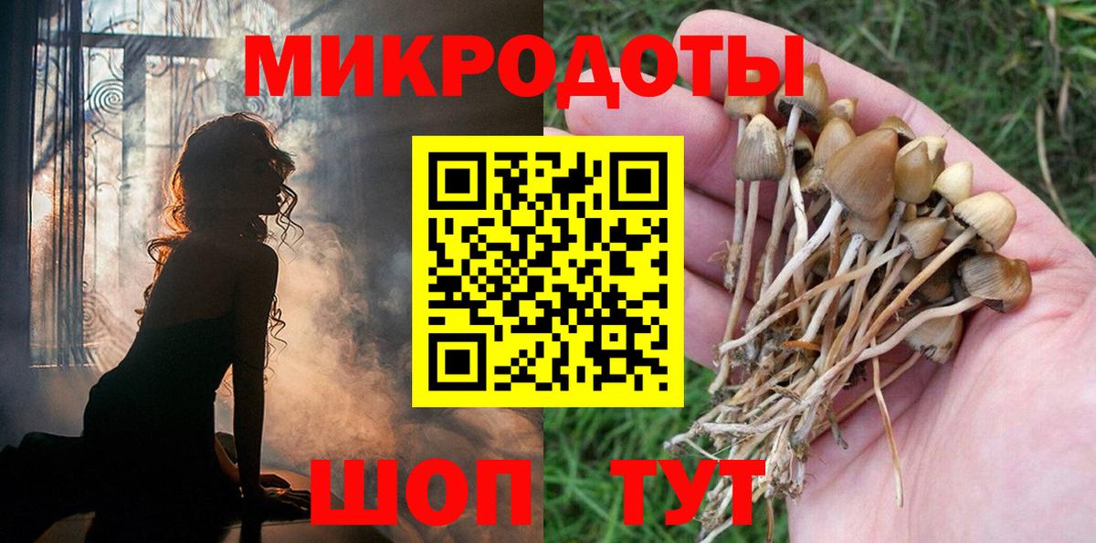 Псилоцибиновые грибы мухоморы Первоуральск