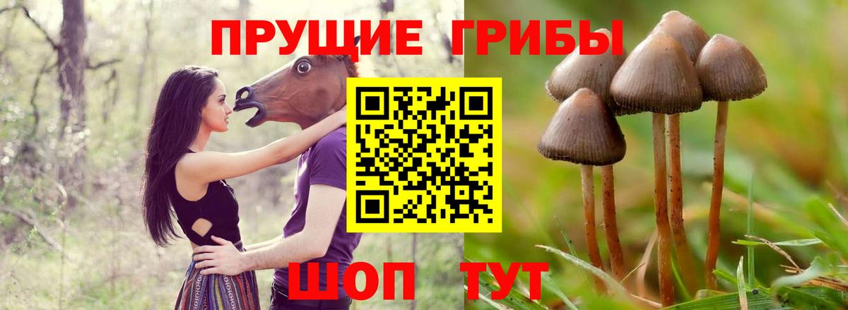 Первоуральск  купить наркотики цена  Псилоцибиновые грибы Magic Shrooms  Вход с VPN  Псилоцибиновые грибы Cubensis 